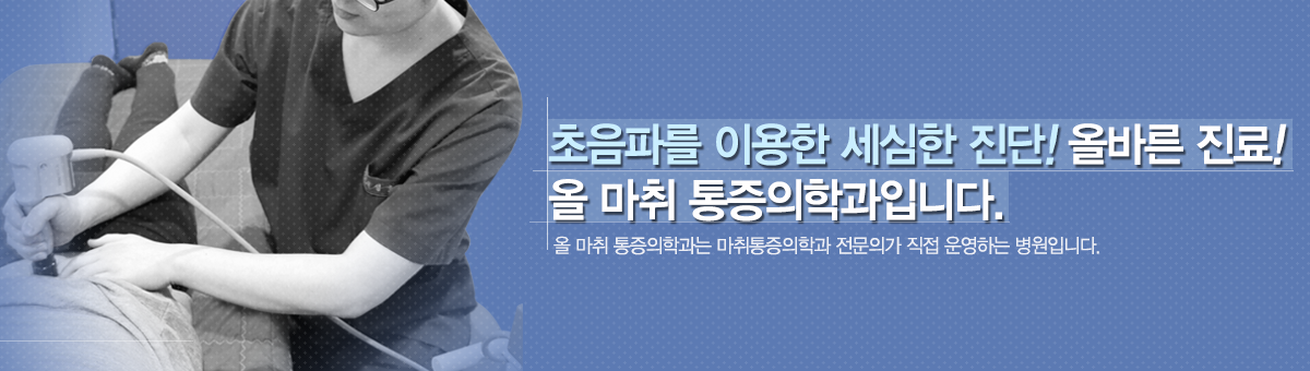 메인