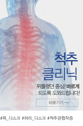척추치료